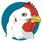 Poultry farmer:Broiler manager icon
