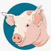Animal Weight- Pigs and cattle icon
