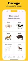 Poster Peso Animal
