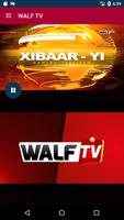 WALF TV Cartaz