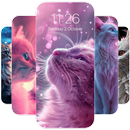 APK Cute Cat Wallpapers HD 4K