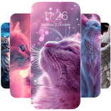 Cute Cat Wallpapers HD 4K