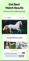 Horse Breed Identifier Scanner ảnh chụp màn hình 1