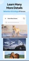 Horse Breed Identifier Scanner ảnh chụp màn hình 2
