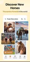 Horse Breed Identifier Scanner ảnh chụp màn hình 3
