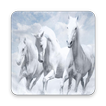 Best HD Horse Image Wallpaper