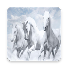Best HD Horse Image Wallpaper icon