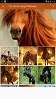 Best HD Horse Image Wallpaper captura de pantalla 1