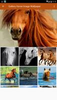 2 Schermata Best HD Horse Image Wallpaper