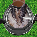Horse Hoof Trimming & cleaning APK