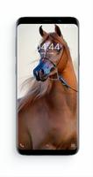 HORSE wallpapers स्क्रीनशॉट 1