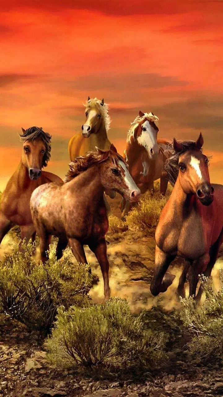 Horse Wallpaper HD APK for Android Download Horse Wallpaper HD APK for Android Download