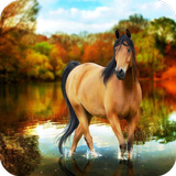 Horse Wallpaper aplikacja