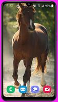 Horse Wallpaper ảnh chụp màn hình 2