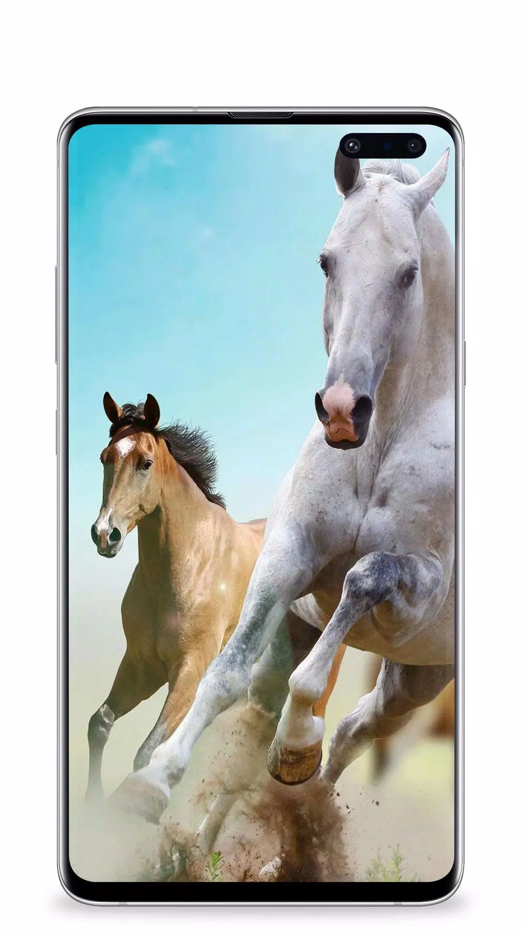 Horse Wallpaper APK for Android Download Horse Wallpaper APK for Android Download