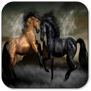 Horse Sounds APK