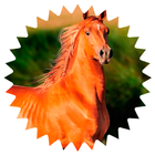 The horses species icon