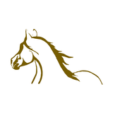 Horse Auctions USA