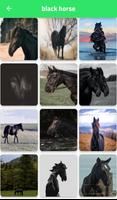 Horse pictures screenshot 3