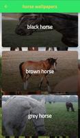 Horse pictures screenshot 1