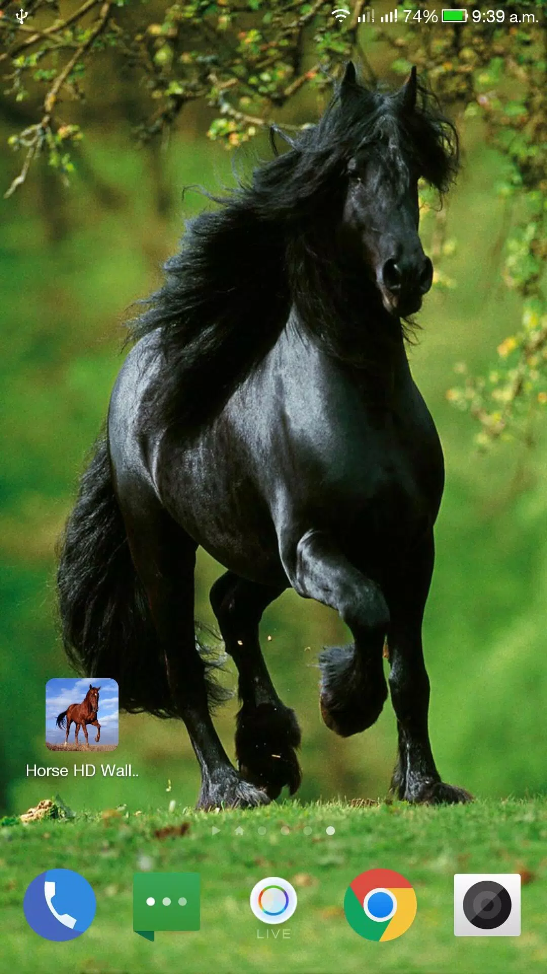 Horse HD Wallpaper APK for Android Download Horse HD Wallpaper APK for Android Download