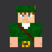 Robin Hood Skin