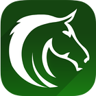 Horse Racing Picks & Bet Tips ikona