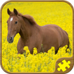 Horse Jigsaw Puzzles HD