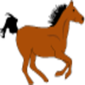 Horse Racing