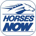 Horses Now-icoon