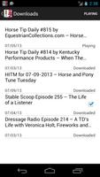 Horse Radio Network اسکرین شاٹ 1