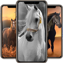 Fonds d'écran de cheval APK