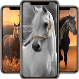 Horse Wallpapers