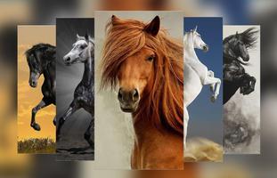 Horse Wallpapers poster