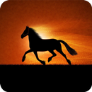 🐎 Horse Wallpaper 🐎 APK