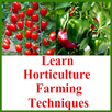 Learn Horticulture farming Tec APK