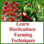Learn Horticulture farming Tec
