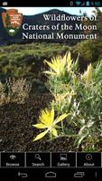 Flowers of Craters of the Moon-poster