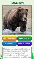 My Spirit Animal Quiz Ekran Görüntüsü 2
