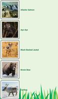 My Spirit Animal Quiz Ekran Görüntüsü 3