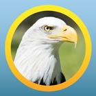 North American Bird ID Quiz Zeichen