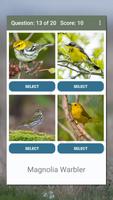 North American Bird ID Quiz capture d'écran 3