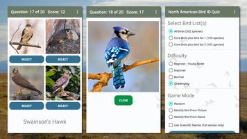 North American Bird ID Quiz capture d'écran 1