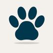 Animal Quiz