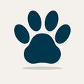 Animal Quiz