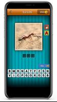 Animal Quiz скриншот 2