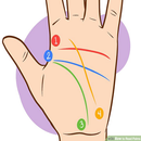 APK How to read a palm