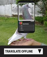 how to choose a pigeon screenshot 1