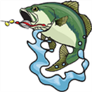 Bass Fishing Guide For Beginners APK