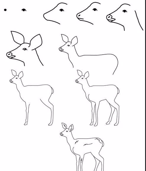 How To Draw Animals APK pour Android Télécharger How To Draw Animals APK pour Android Télécharger